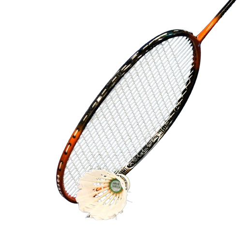 бадмінтон київ